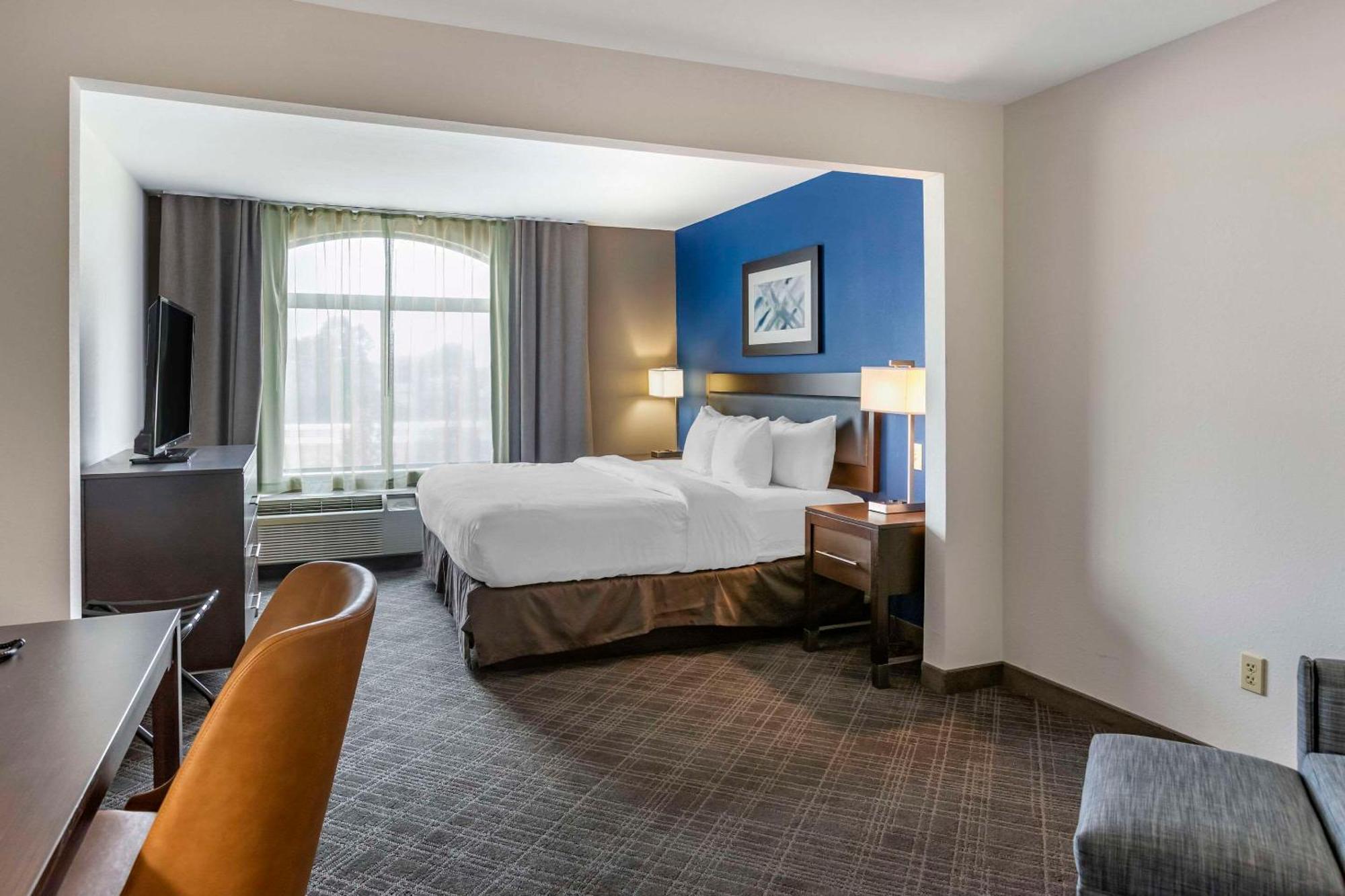 Comfort Inn & Suites Grand Blanc-Flint מראה חיצוני תמונה